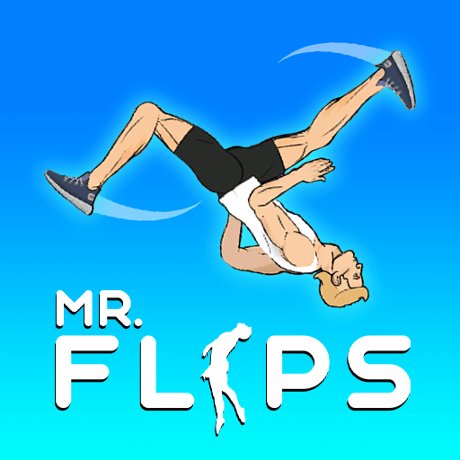 how to play Mr Flips